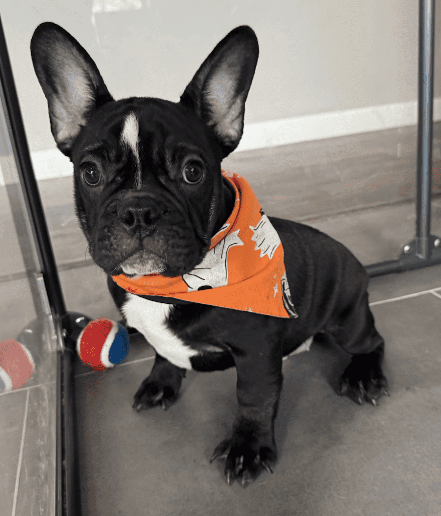 Screenshot 2025-09-29 at 7.29.28 PM